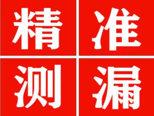 广水尚嘉漏水精准查找